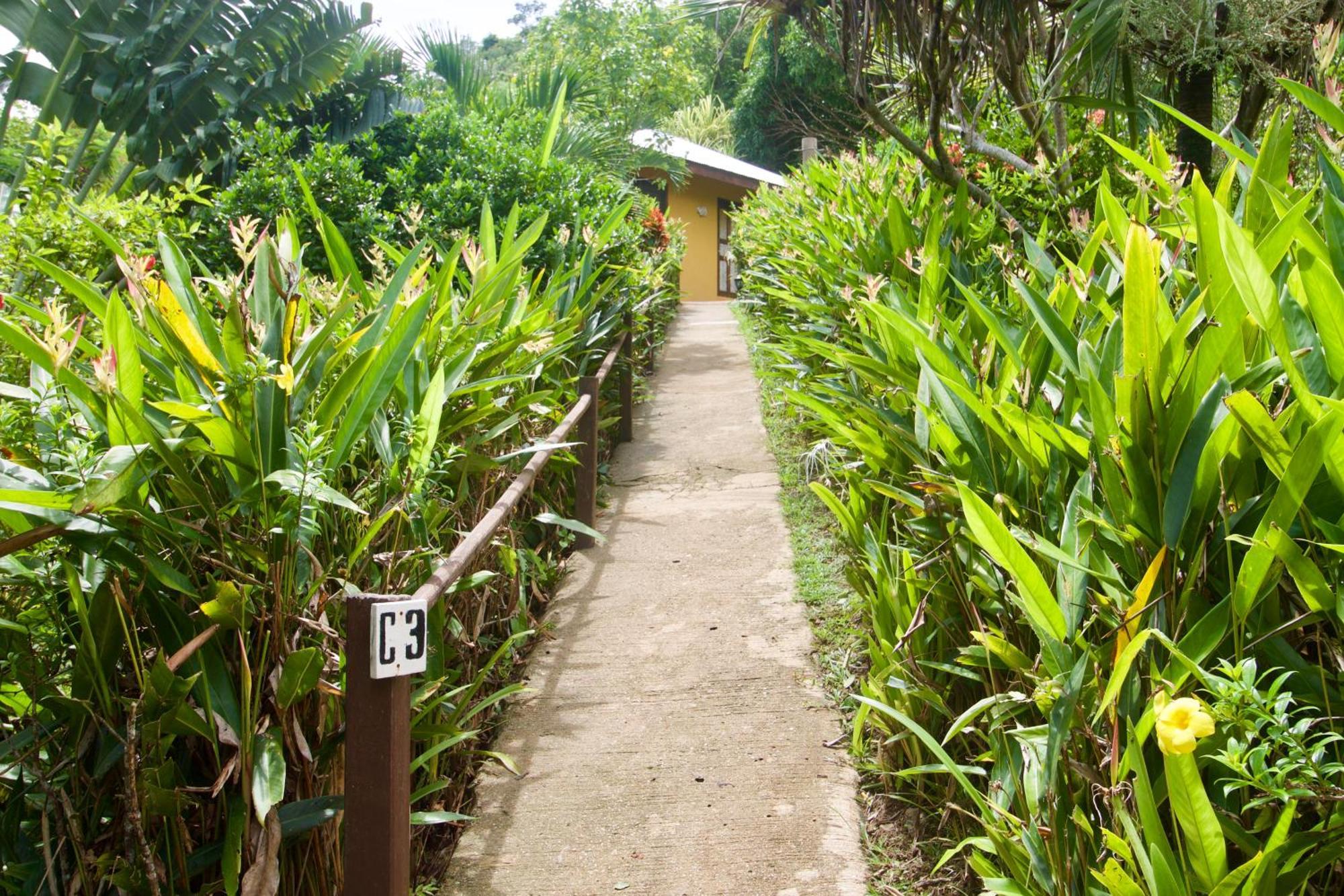Casa Rosa Inn And Restaurant タイタイ エクステリア 写真